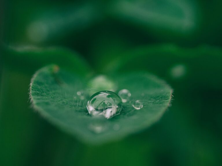 aaron burden dxye1d08biy unsplash scaled 1