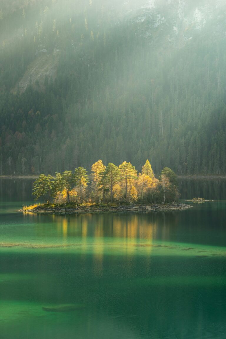 daniel sesler hnw3al47 ke unsplash scaled 1