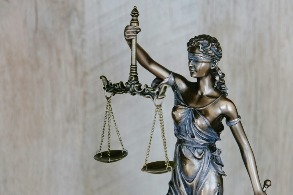 আইনি পরামর্শ ও ব্যবস্থা law (3)